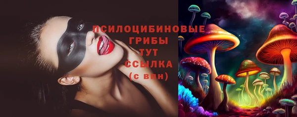 тгк Вяземский