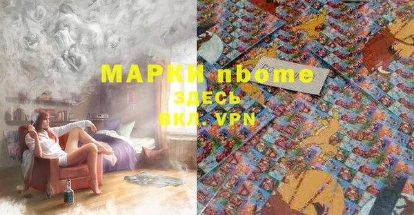 тгк Вяземский