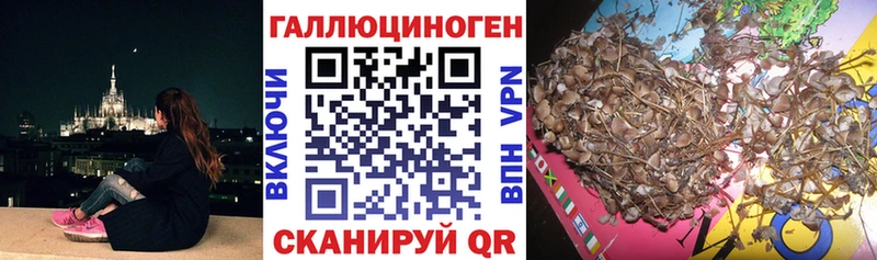 Псилоцибиновые грибы Psilocybine cubensis  Купить  Цивильск 